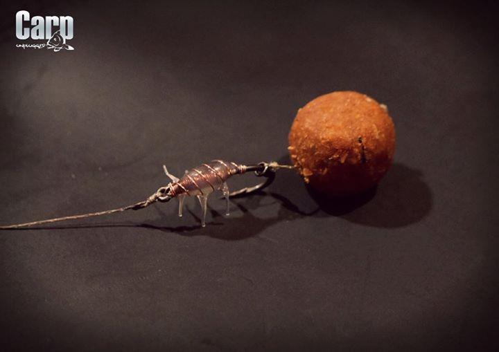 OMG - img4075697349365.jpeg